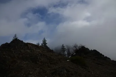 DSC_0869 (Large).JPG